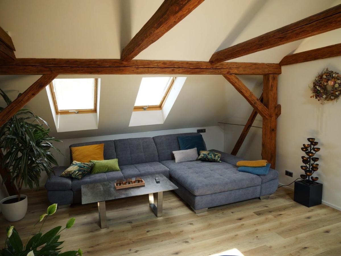 Apartman Danuse Česká Lípa エクステリア 写真
